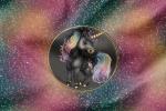 Vorbestellung * Baby Black Unicorn* Panel - Eigenproduktion - Fake Glitter Bombe -